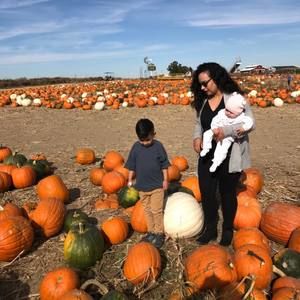 Meet your Posher, Elsa